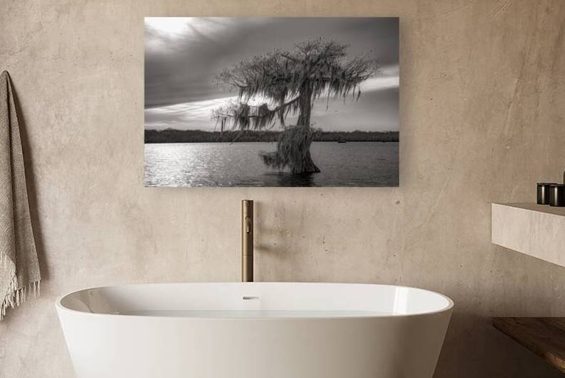 One Lone Cypress  Tree Silhouette by Norma Brandsberg Photography