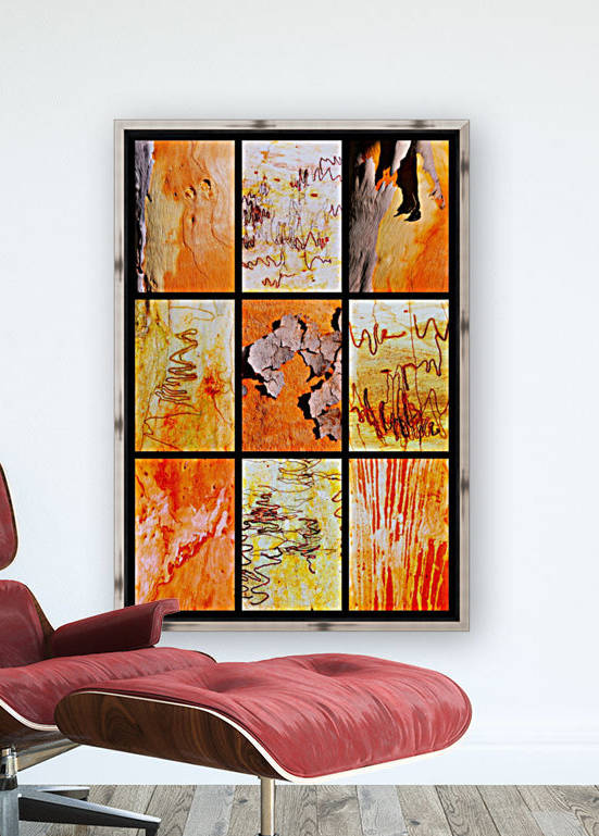 Salmon and Scribbly Gum Tree Bark by Lexa Harpell