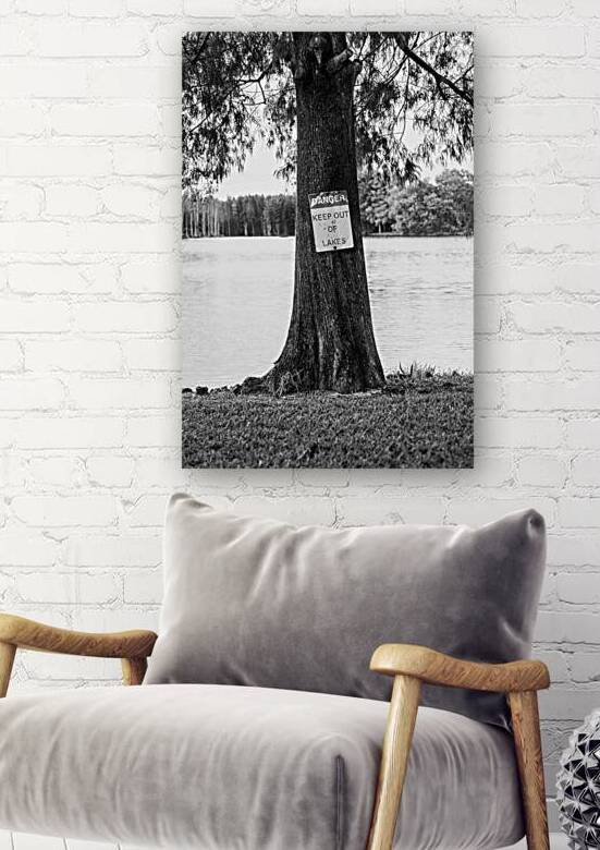 Keep Out of Lakes by Art by Josh