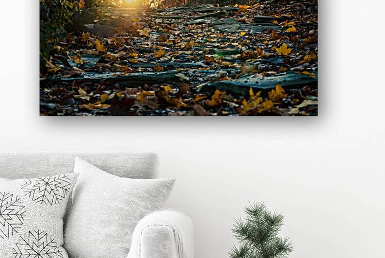 The Path Between by Jason Fink