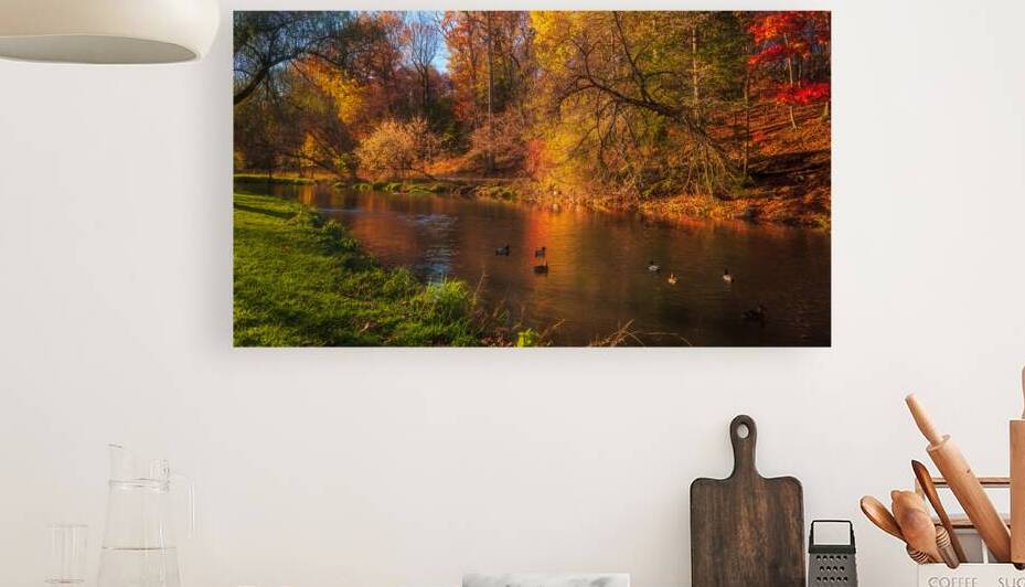 Autumn Ducks On the Little Lehigh by Jason Fink