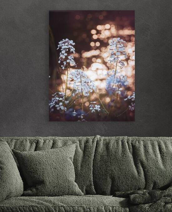 Wildflowers by a Sunlit Stream by Jason Fink