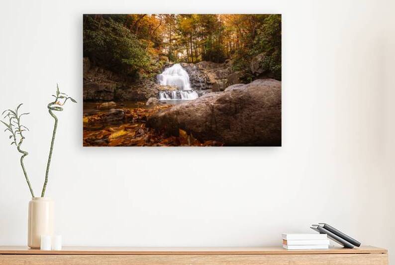 Hawk Falls in Autumn Creekside View by Jason Fink