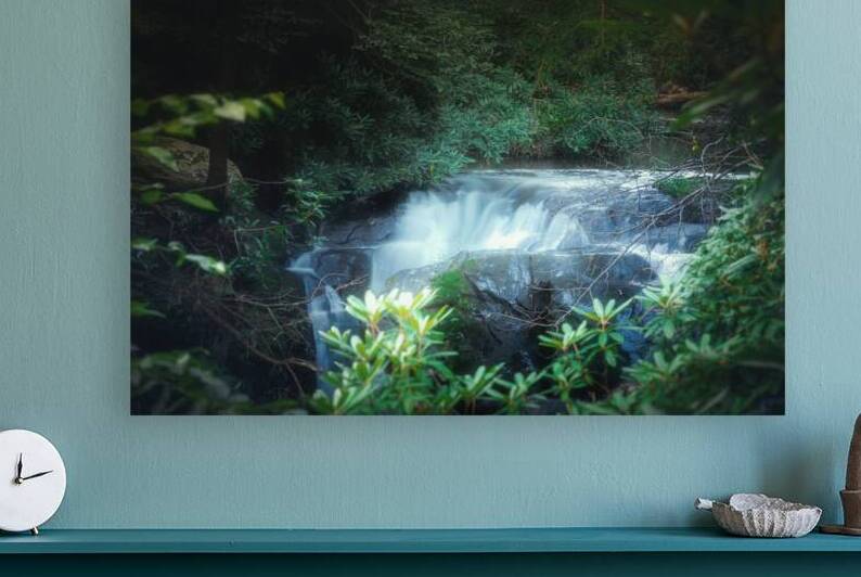 Wild Creek Falls Through the Trees by Jason Fink