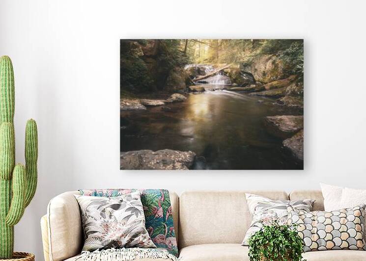 Wild Creek Falls Ahead by Jason Fink