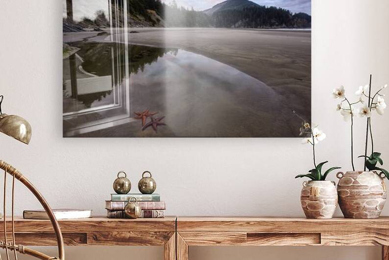 Starfish at Smugglers Cove by Images By Jon Evan