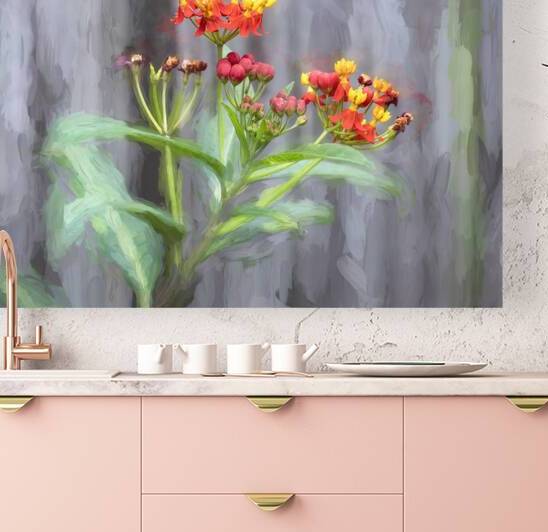 Milkweed Flowers X120 by Rich Franco