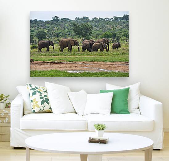 Majestic Elephants Grazing in Lush African Savannah Landscape by Chris Willemsen