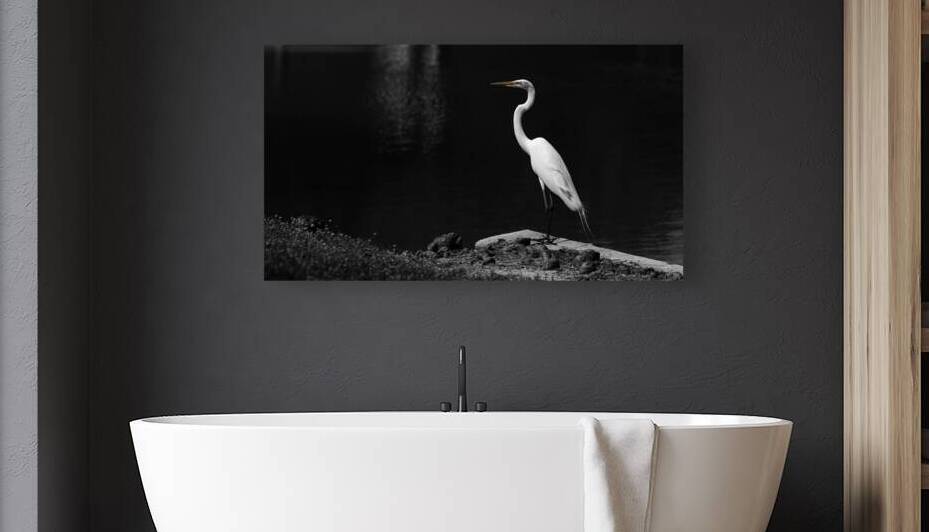 Heron on the Lake by Art by Josh