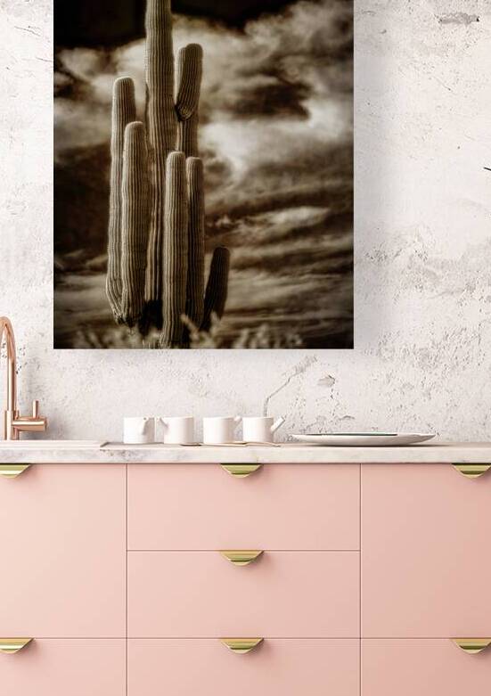 Desert Essence by Dream World Images