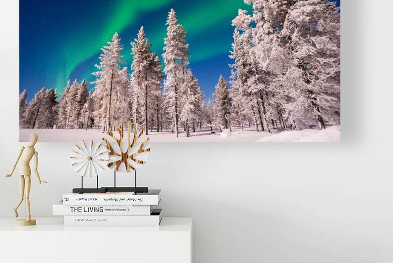 Aurora Borealis Northern lights over snowy pine trees by DELPHIMAGES