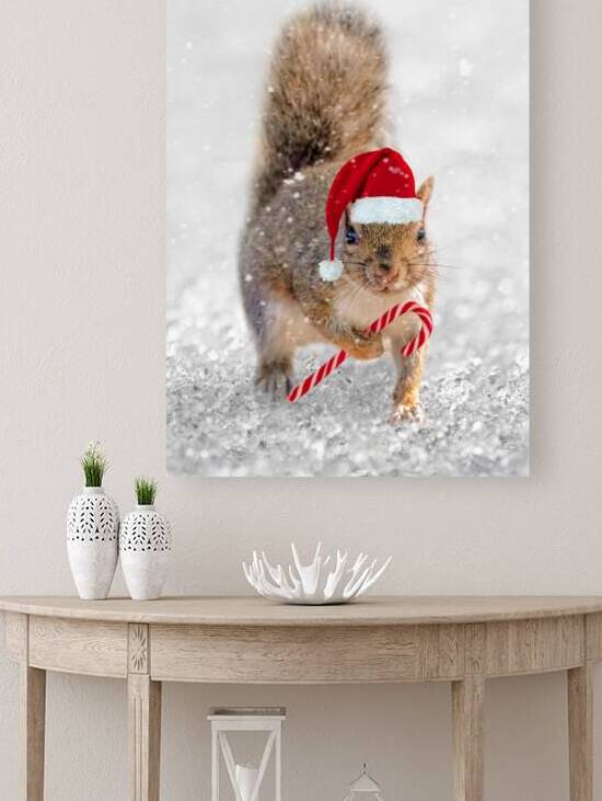 Christmas squirrel by DELPHIMAGES