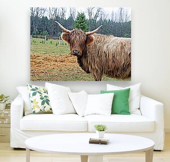 Highland Cow by Deb Oppermann