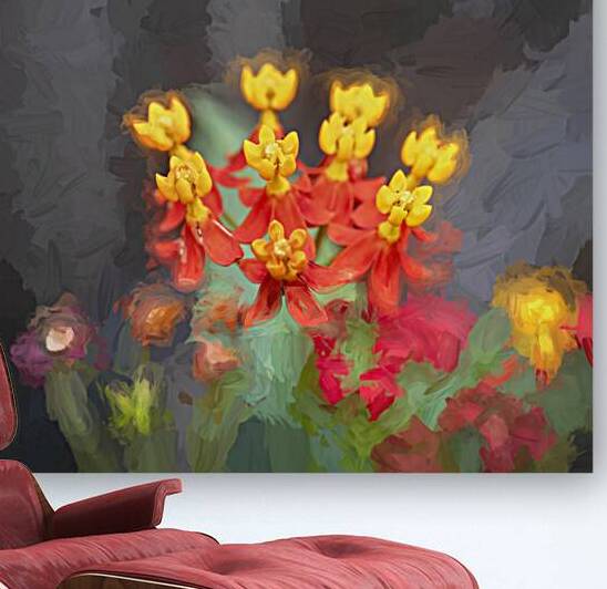 Milkweed Flowers X109 by Rich Franco