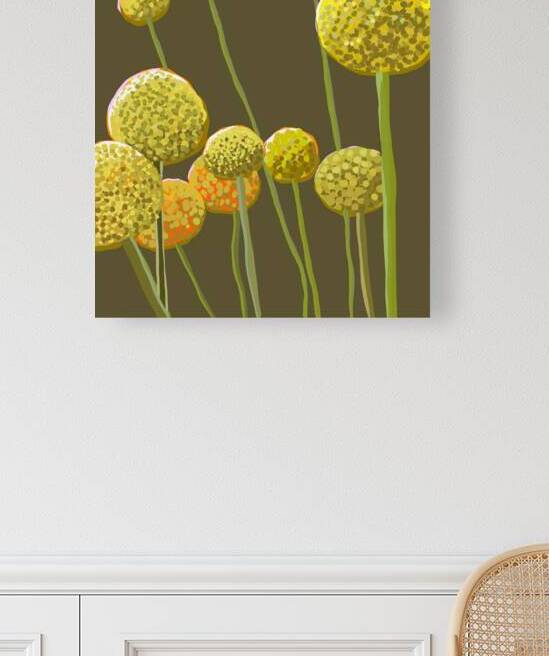 IMG 3248 by Erika Castro