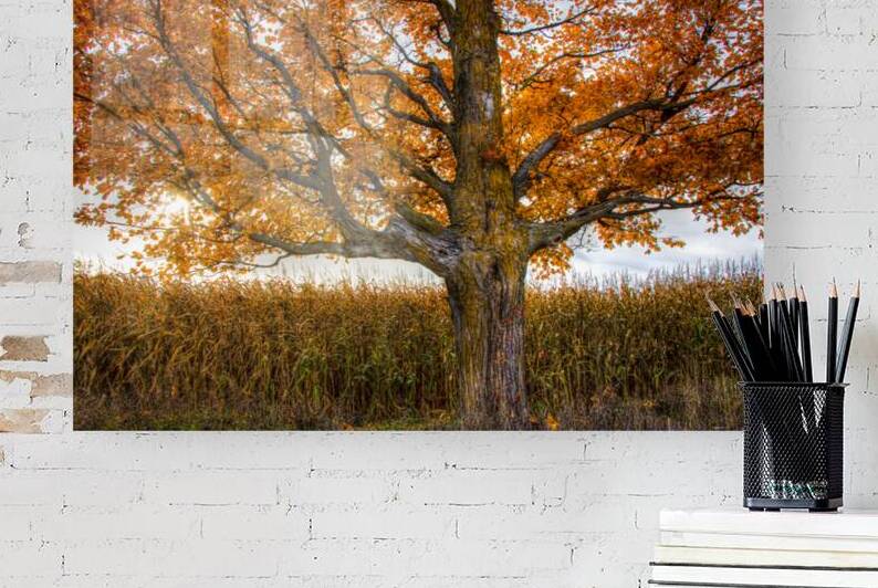 Flaming tree by Eden Remme Watt