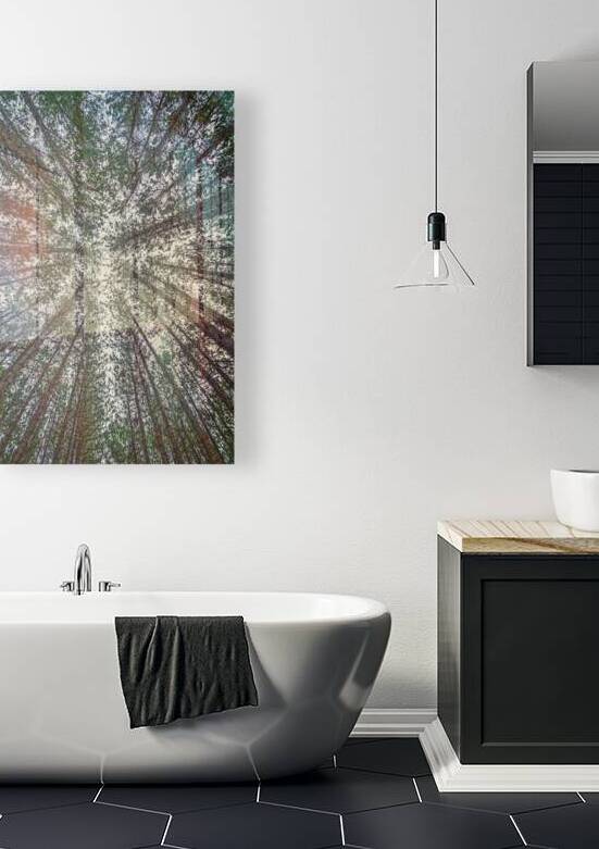 02 Look Up by Eden Remme Watt