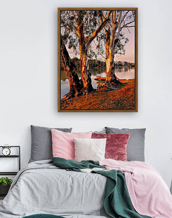 Murray River Gums by Lexa Harpell
