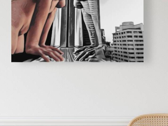 Window Reflection   Shaded by Millie R Lissow