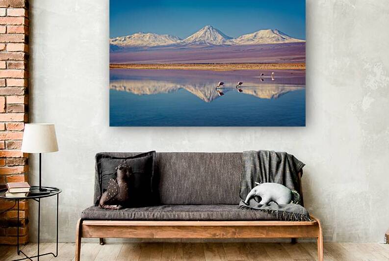 Andean flamingos in Atacama salar Chile by DELPHIMAGES