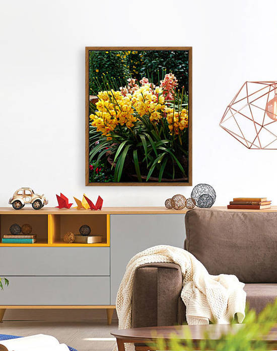 Yellow Orchid Cluster by Shadow and Form