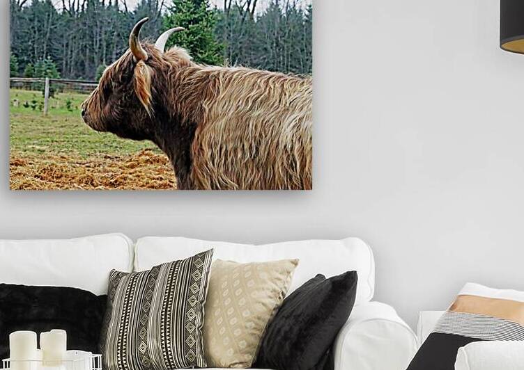 Heilan Coo by Deb Oppermann