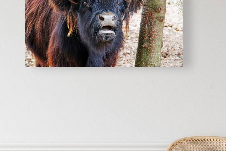 Moo by Deb Oppermann