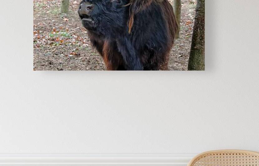 Moo I by Deb Oppermann