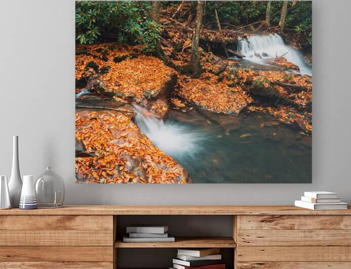 Buck Mountain Creek Autumn Falls by Jason Fink