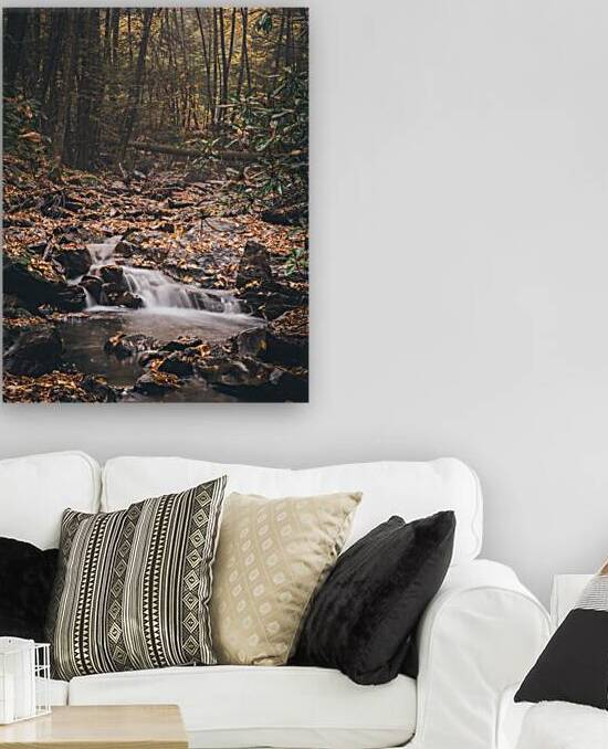 Buck Mountain Creek and Forest Autumn by Jason Fink