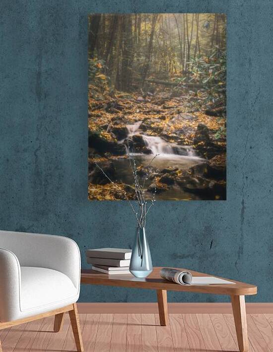 Deep Autumn Woods Buck Mountain Creek by Jason Fink