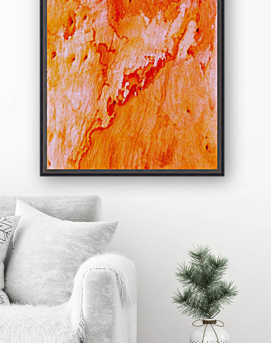 Salmon Bark by Lexa Harpell