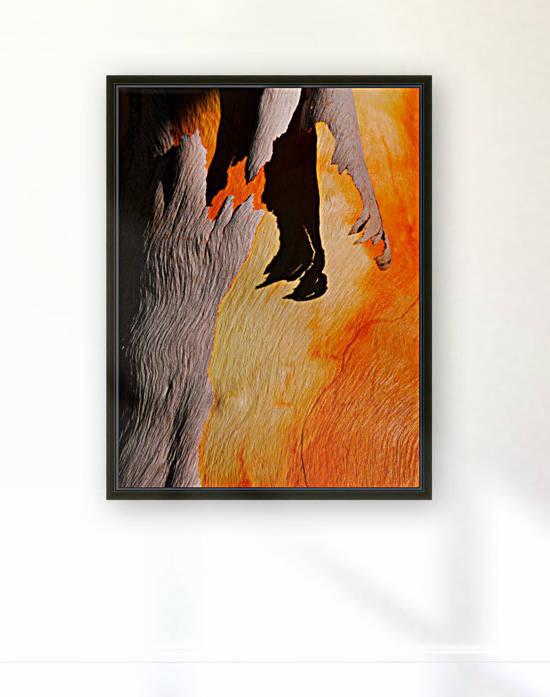 Salmon Bark Peeling by Lexa Harpell