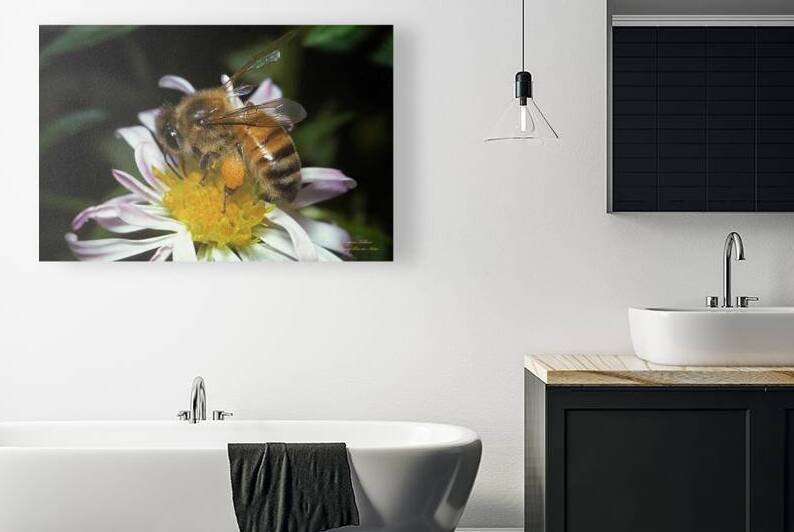 Honey Bee on Aster by Gene Killion 1980  by Mark Killion