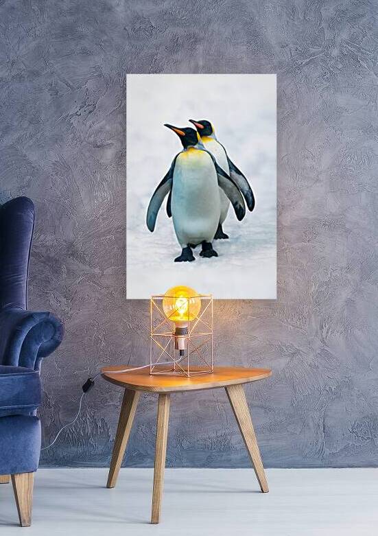 Double penguin by DELPHIMAGES