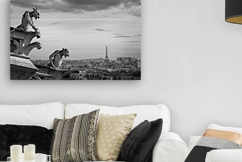 Notre Dame gargoyles Eiffel tower view in Paris by DELPHIMAGES