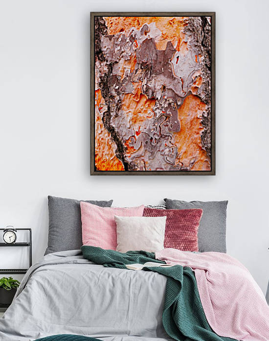 Pine Tree Bark by Lexa Harpell