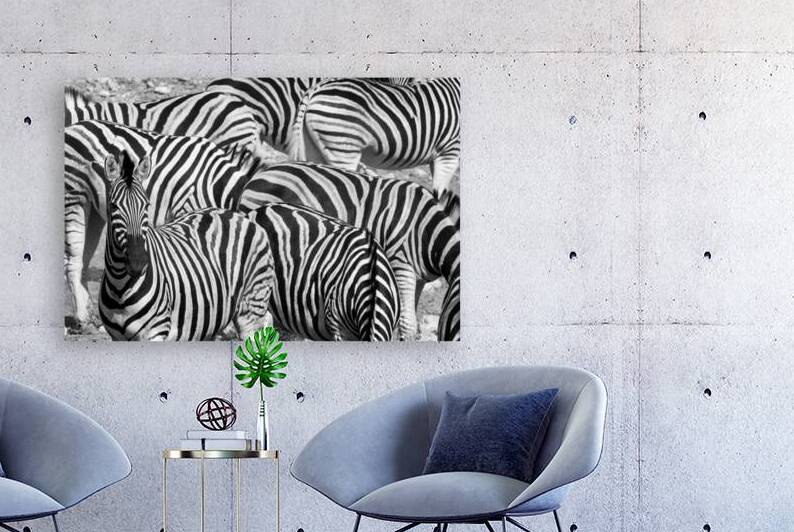 Abstract zebra herd - Black and white by DELPHIMAGES