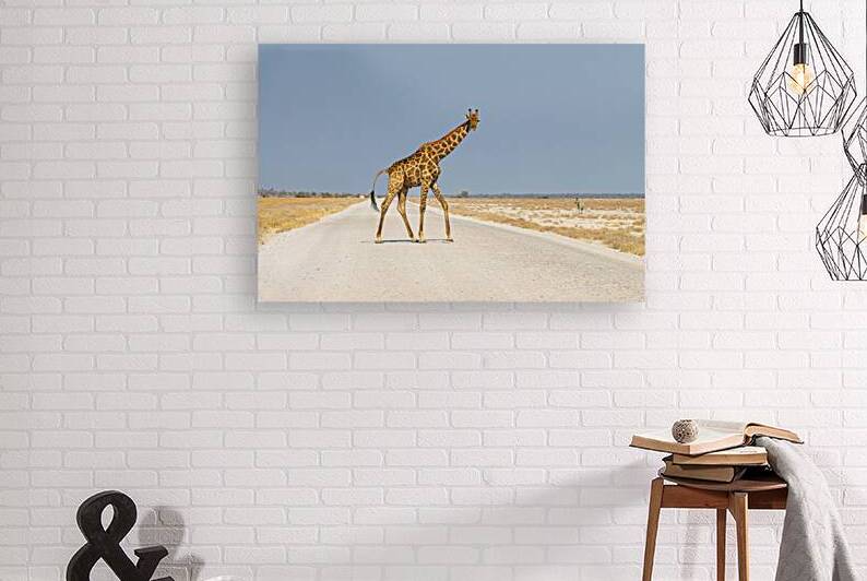 Giraffe crossing the road Etosha National Park Namibia by DELPHIMAGES