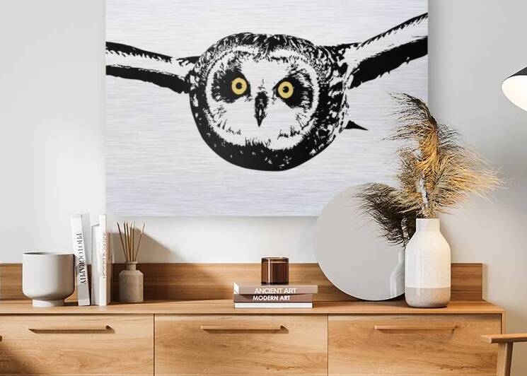 Short eared Owl as Silhouette by Joe Riederer