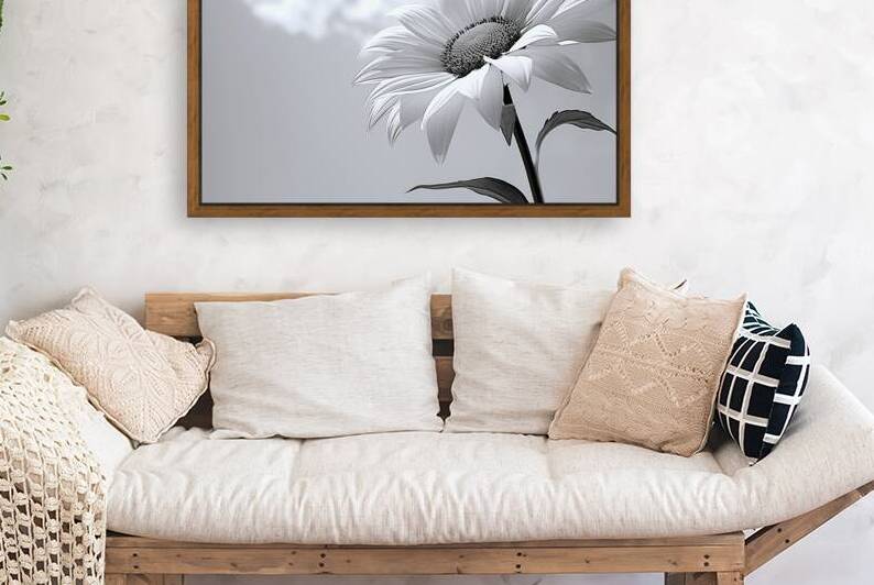 Helianthus Debilis - Botanical Sunflower Study Art Prints by Savage Art Prints