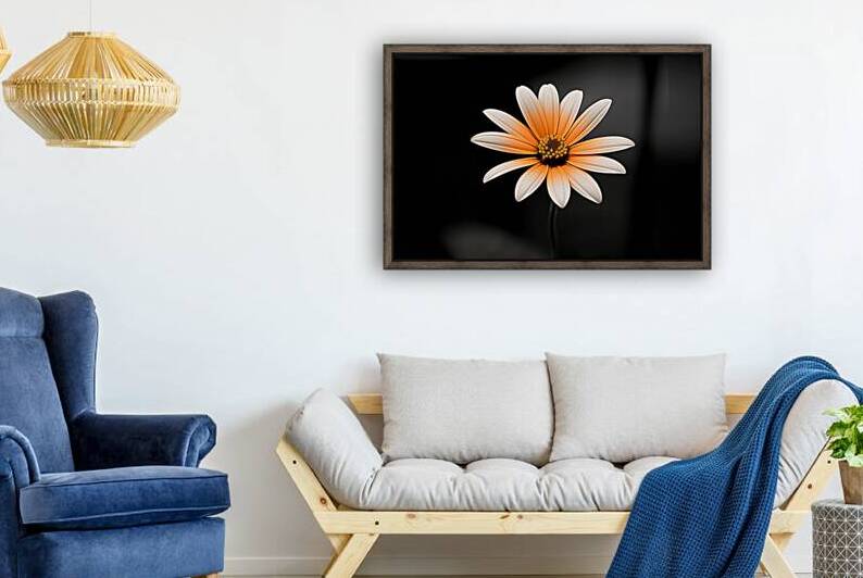 Whispers Of The Wild Daisy - Monochrome Floral Art Prints by Savage Art Prints