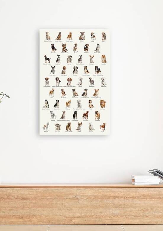 50 Dog Breeds by Dekel Bar