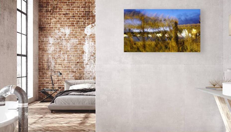 imaginary dream by Carinou Art