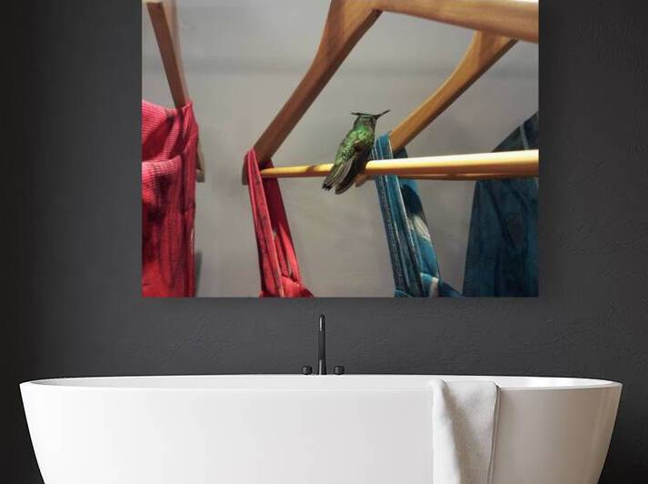 it s not my size by Carinou Art