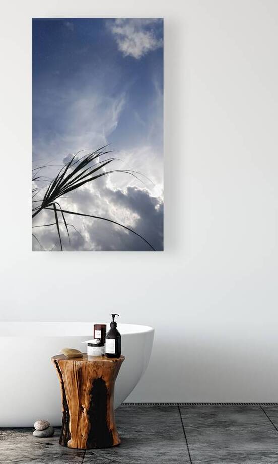 head in the clouds by Carinou Art