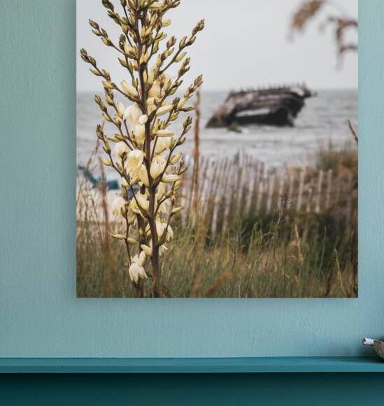 Yellow Flowers and a Shipwreck by Jason Fink