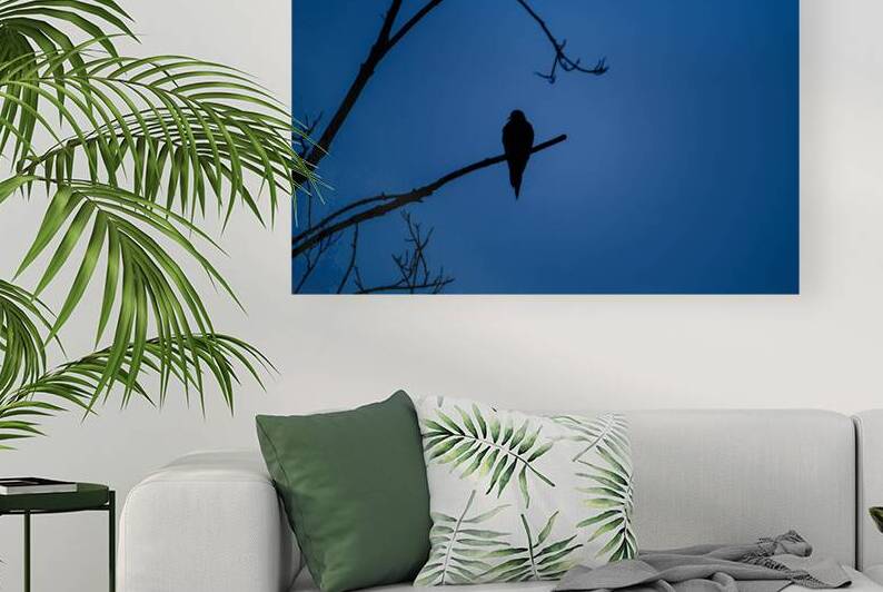 Bird Silhouette Dark Blue by Jason Fink