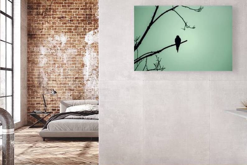 Bird Silhouette Green by Jason Fink