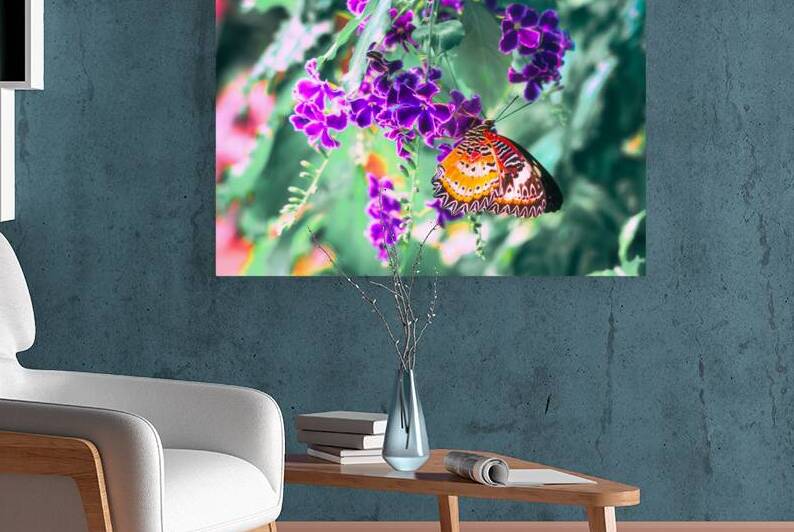 Maylay Lacewing Butterfly on Purple Flower by Jason Fink